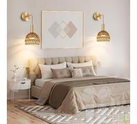 HQHYGM Boho Rattan Wall Light Battery Operated Wall Lamp with Remote Control Dimming Wall USB Rechargeable Wall Adjustable Length for Bedroom Living Room Stairs (Copper 2 Packs)