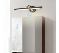 HQHYGM Mirror Front Wall Light with Motion Sensor Wall Lamp with 17-22cm Adjustable ArmWall 210° Rotation Wall Indoor Waterproof for Vanity Bathroom Living Room (Black-Neutral Light 43cm)