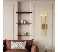 HQHYGM Wall Light Indoor Wall Lamp Creatively Wall Nordic Background Decoration Wall Acrylic for Living Room Bedroom Hallway (Copper-Warm Light Double)