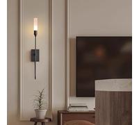 HQHYGM Wall Light Indoor Wall Lamp Creatively Wall Nordic Background Decoration Wall Acrylic for Living Room Bedroom Hallway (Black-Warm Light Single)