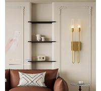 HQHYGM Wall Light Indoor Wall Lamp with Remote Control Wall 2700K-6500K Dimmable Wall Creatively Decorative for Bedroom Hallway Living Room (Copper Double)