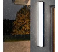 HQHYGM Wall Light Outdoor/Indoor Decorative Wall Lamp IP65 Waterproof Wall Long Strip Wall Aluminium Black for Balcony Garden Hallway (White Light 120cm)