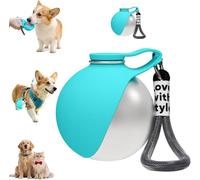 HQRKOTM botella de agua portátil para mascotas 285ml acero inoxidable a prueba de fugas apta para perros gatos y salidas al aire libre