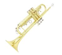 HQWBVD Trompeta Trompeta Plana Profesional BB B Instrumento De Viento Musical De Material De Latón