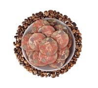 HQZMCTE Pastel De Té Maduro Pu-erh De Café Premium - Yunnan Pu-erh Con Rico Aroma De Café, Mini Pasteles De Té Comprimidos (50g)