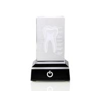 Hreyywo Modelo de Cristal de Diente Humano, Modelo Anatómico Grabado con, Odontología Oral Grabada para Decoración de Oficina, Regalos de Dentista