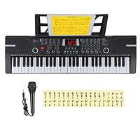 Hricane Teclado de piano para niños, 61 teclas, teclado electrónico para principiantes, teclado de música digital portátil, instrumento musical de educación temprana con micrófono y