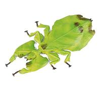 Hrippy Juguetes De Insectos En Miniatura Y Insectos Falsos, Mini Figuras De Juguetes De Insectos De Insectos, Modelo De Insectos De Plástico 3D para Niños Juguetes Educativos De Fotografía Accesorios