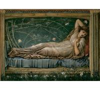 HRJUBWREE Murales Vintage Pintura de Póster Artística Imagen Lienzo La Bella Addormentata Burne-jones para Decoraciones del Hogar 60x90cm