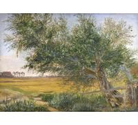 HRJUBWREE Pinturas Famosas Retratos Sobre Lienzo Pinturas Murales el viejo árbol de jacob gensler para la Decoración del Hogar del Dormitorio 60x90cm