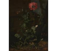 HRJUBWREE Vintage Lienzo Pintura Cuadro en Lienzo Impresión Pared Arte Bodegón con amapola Insectos y reptiles de Otto Marseus Van Schrieck para la Decoración del Hogar de la Oficina 60x90cm