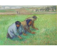 HRJUBWREE Vintage Lienzo Pintura Cuadro en Lienzo Impresión Pared Arte Les Sarcleurs de Camille Jacob Pissarro para la Decoración del Hogar de la Oficina 60x90cm