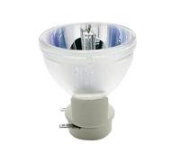 HRTHCAJ Bombilla for proyector compatible con X110, X110P, X111, X112, X113, X113P, X1140, X1140A, X1161, X1161P, X1261P, P, Vip 180 0 8, E20