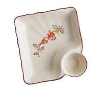 Hrtyvhin de cerámica cuadrado multifuncional que incluye de vinagre pintado a mano, ideal para servir albóndigas, bandeja de almacenamiento de cocina Dim Sum