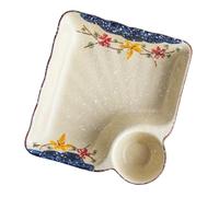 Hrtyvhin de cerámica cuadrado multifuncional que incluye de vinagre pintado a mano, ideal para servir albóndigas, bandeja de almacenamiento de cocina Dim Sum