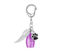 Hrtyvhin Llavero para Mascotas, joyería Conmemorativa, Colgante de Acero Inoxidable para compañía y Llavero de urna para Mascotas con