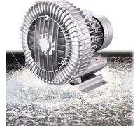 Hrxllb Soplador regenerativo Mejorado de Anillo vórtice de Alta presión, 380 V, trifásico, 250 W-1500 W, para aireación de Aguas residuales en acuarios y estanques(550W/0.74HP)