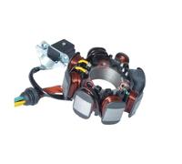HSAJFEB Encendido Motocicleta Repuestos para Generador Bobina Estator Magnético 5 Cables Y 8 Polos para Motocicleta para CG125 ZJ125 CG ZJ 125 125cc Bobina Encendido(Average Hole)