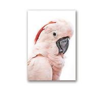 HSFFBHFBH Cuadro en Lienzo Cacatúa Rosa Pájaro Imprimir Tropical Animal Grande Cartel Cacatúa Fotografía Imagen Decoración de la Pared del hogar 40x50cm (15.7"x19.7) Sin Marco