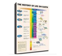 HSMXNEONJB Biology Art Print - Stylized Evolution of Life History Poster, Educational Yet Decorative Wall Chart for Study Room(Framed,12x18inch(30x45cm))