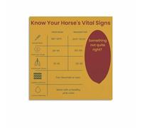 HSMXNEONJB Equine Health Monitoring Guide Art Print, Horse Care Educational Poster for Riding School, Ranch Office Decor(Framed,12x18inch(30x45cm))