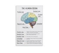 HSMXNEONJB Human Brain Poster, Psychology Chart of Brain Functions, Mental Health & Anatomy Art Print for Therapy Office Decor(Framed,12x18inch(30x45cm))