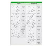 HSMXNEONJB Retro Science Poster Metal Tin Sign Amino Acids Chart Genetic Code Vintage Wall Decor for Biology Classroom Teachers Office 8 X 12 inch