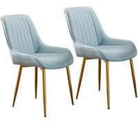 HSTBLEOO 2 sillas de Comedor con Cojines Suaves, Altura del Asiento: 47 cm, Patas de Hierro Dorado, for Hotel.(D-Tech Cloth)