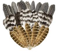 Hsthe Sea 30 Uds. Plumas de Pavo Naturales para Manualidades, 3 Estilos, Plumas Mixtas para Manualidades, Plumas manchadas para arreglos Florales, Suministros para Manualidades DIY