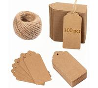 Hsthe Sea Etiquetas de regalo de papel kraft, 100 etiquetas grandes y lisas, 5 x 10 cm, etiquetas en blanco marrón con cuerda para regalos
