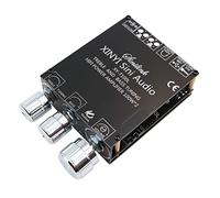 Hsthe Sea Placa amplificadora de 100W + 100W con Control de Graves y Agudos DC 5-24V BT y entradas AUX Placa de Amplificador estéreo de 2,0 Canales para Altavoces inalámbricos DIY