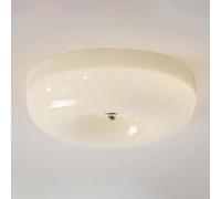 HTERWQEA Nordic LED Ceiling Light Round Chandelier with White Glass Shade Close to Ceiling Ring Lighting Fixture for Kitchen Hallway Bedroom Living Room