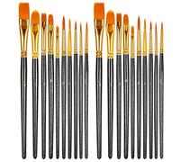 HTHL Juego de 20 pinceles de nailon para acrílico, óleo, acuarela, gouache y pintura facial, profesionales y principiantes (negro)