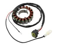 Htoqac Bobina de estator magnético del generador 6C5-81410-00 6C5-81410-01 Compatible con F40 2006-2017 F50 2005-2017 F60 2005-2017 FT50 2005-2017