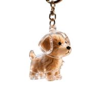 HUAANYA 1 llavero conmemorativo de pelo de mascotas, colgante acrílico de pelo de perro con cadena de metal, vial colgante de urna para mascotas, recuerdos para amantes de las mascotas