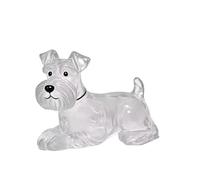 HUAANYA 1 llavero conmemorativo de pelo de mascotas, colgante acrílico de pelo de perro con cadena de metal, vial colgante de urna para mascotas, recuerdos para amantes de las mascotas