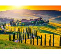 HUADADA Puzzle de 1000 piezas, puzle para adultos, 1000 piezas, puzle para adultos y niños, rompecabezas imposible, regalo de rompecabezas, rompecabezas inteligente, rompecabezas colorido, puzle