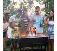 Huairdum Pincho Vertical de Acero Inoxidable para Barbacoa Brasileña, Soporte para Asador de Pollo, Rejilla para Asar Aves con Bandeja de Goteo, Ideal para Pollo, Pavo, Pato y Ganso (SILVER)