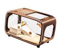 HUAJINGKEJI Todo en una sola cisterna Marinepark con estructura de alimentación automática, entorno seguro para peces de combate y tortugas de mascotas, decoración de oficina Marinepark