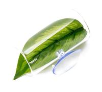HUANGING Bettas - Túnel de descanso para peces para criar peces para un entorno de reproducción cómodo
