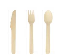 HUANR Cubiertos de Mesa Desechables, 300 Piezas Cubiertos Pique Nique