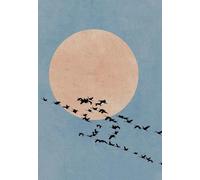 HUANTY Impresiones en lienzo para arte de pared Póster De Arte Natural Moderno Nórdico Minimalista Con Diseño De Pájaro Rojo Y Sol, Sin Marco, Para Decoración Del Hogar(F,40x60cm)
