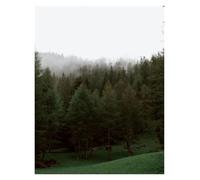 HUANTY Impresiones en lienzo para arte de pared Póster Fotográfico De Cascada De Bosque De Pinos Verdes Y Montañas Brumosas, Sin Marco, Lienzo, Arte De Pared, Decoración Del Hogar(METRO,60X90cm)