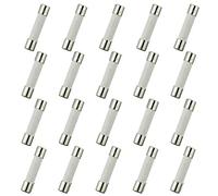 HUAREW T10AL250V 20 piezas 6x30 mm 0,24 x 1,18 pulgadas fusibles de tubo de cerámica de soplado lento 10A 250V