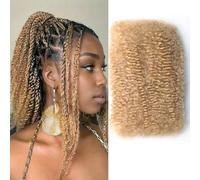 Huarisi #27 Afro Kinkys Bulk Hair for Dreadlocks and Twist Braiding 16 Inch | 1 Pack 50g 100% Human Hair Soft Honey Blonde Afro Kinkys Bulk Human Hair for Repair Locs and Braids