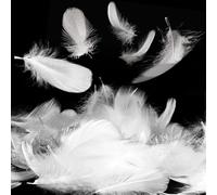 HUATEEN Piume Bianco,200 Pezzi Piume per Artigianato Decorazioni di Piume d'oca Naturali per FAI Da Te Cappelli Costumi Ccappelleria Decorazioni per Feste Matrimoni 5-8 cm