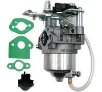 Huayi - Carburador OEM compatible con un generador inversor iPower SC2300I 2300 1800 vatios