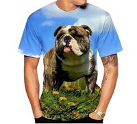 HuazomeeHZM Camiseta con Estampado de Perro Pitbull Impreso en 3D para Hombre y Mujer Camiseta Informal de Manga Corta para Perros Camisetas Oversize Ropa Urbana