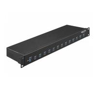 Hub Delock 13 puertos 5 Gbps USB 3.2 Gen 1 modelo 64039 metálico montaje rack