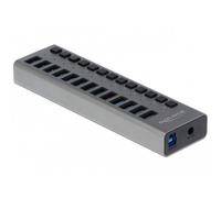 Hub DeLOCK 13 puertos USB 3.2 Gen 1 5 Gbps con interruptores individuales
